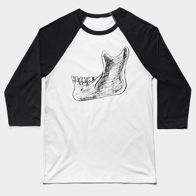 Pen and Ink Mandible Sketch Baseball T-Shirt by emadamsinc